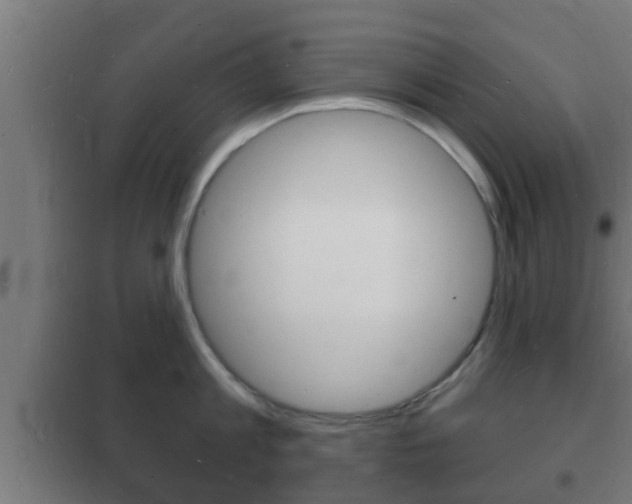 X0000102220813200807250745