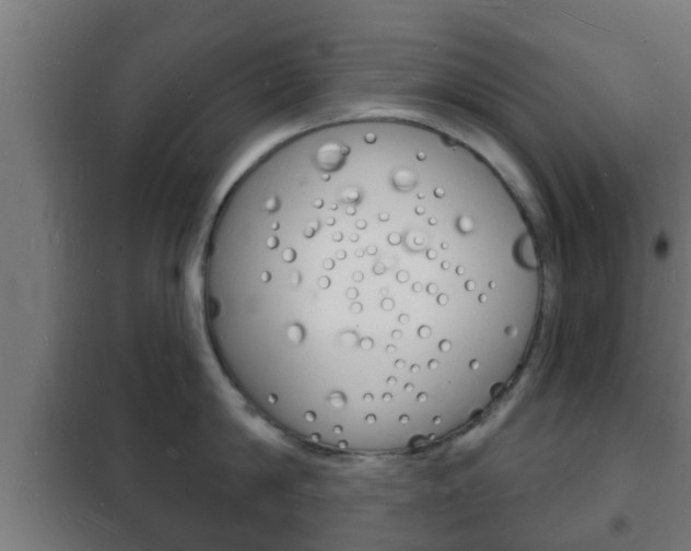 X0000102220814200807250745