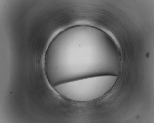 X0000102220815200807250745