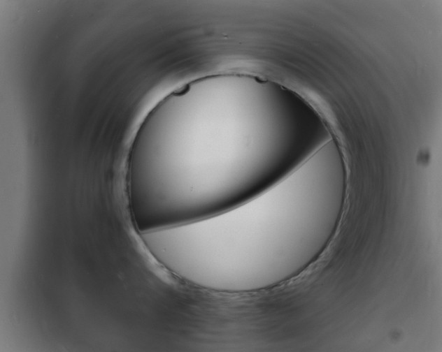 X0000102220816200807250745