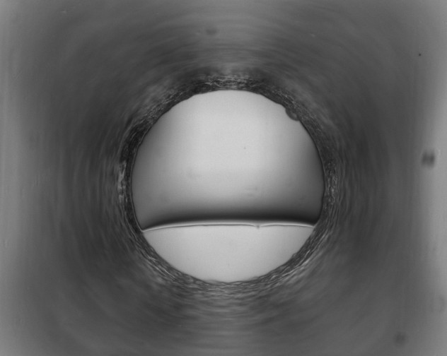 X0000102220818200807250744
