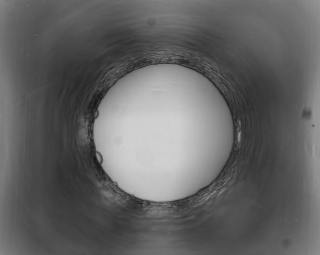 X0000102220819200807250744