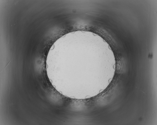 X0000102220820200807250744