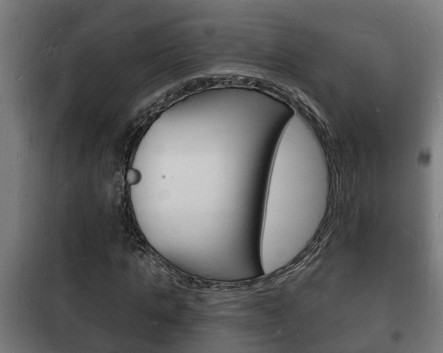 X0000102220821200807250744