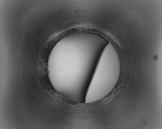 X0000102220822200807250744