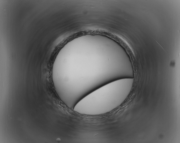 X0000102220823200807250744