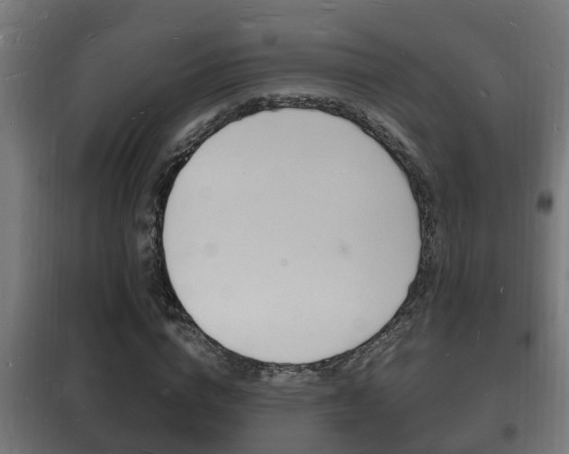 X0000102220824200807250744