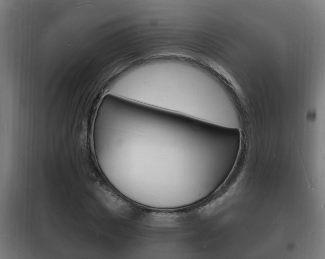 X0000102220825200807250744