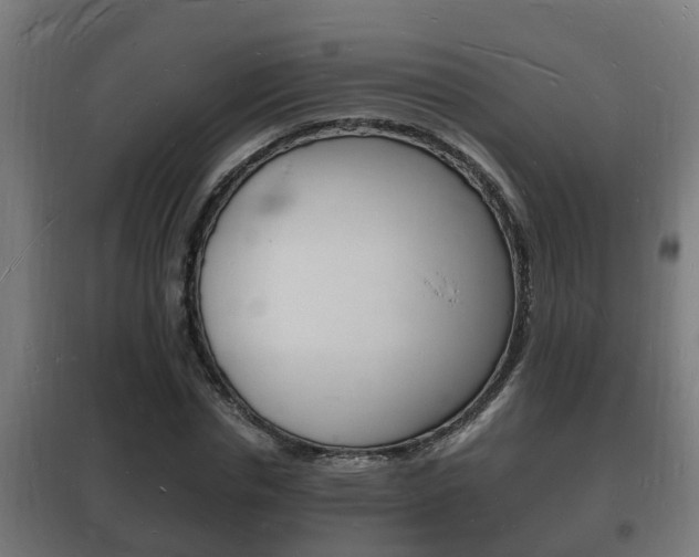 X0000102220826200807250744