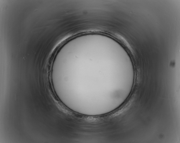 X0000102220827200807250744