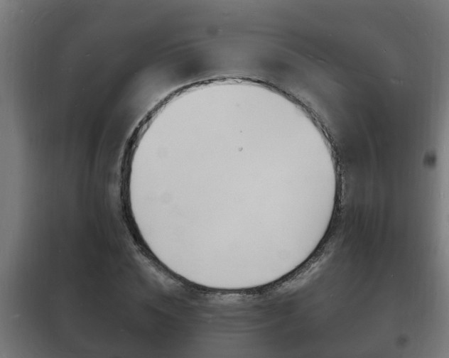 X0000102220828200807250744