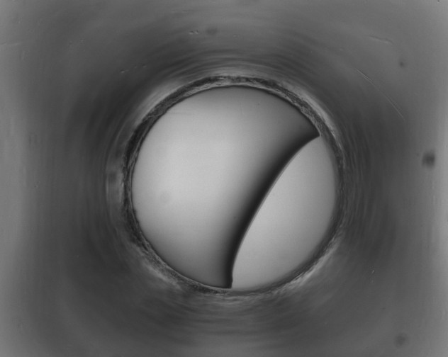 X0000102220829200807250744