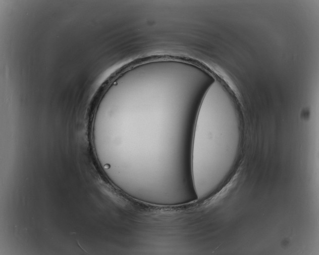 X0000102220830200807250744