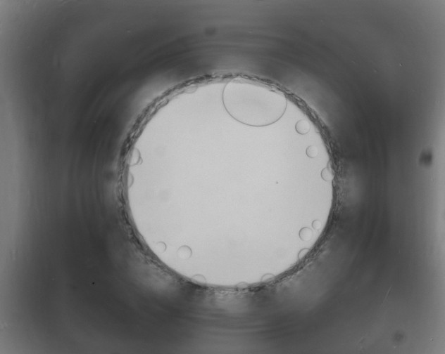 X0000102220832200807250744