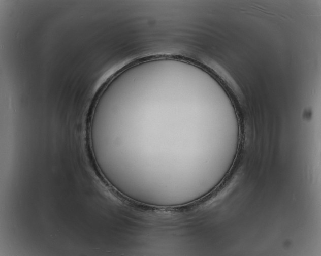 X0000102220834200807250744