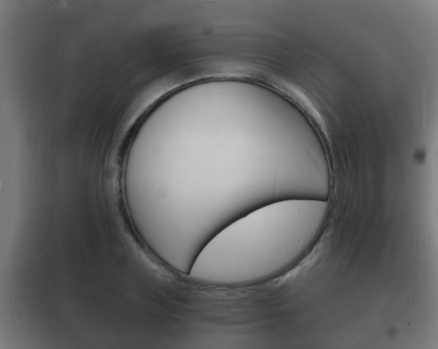 X0000102220835200807250744