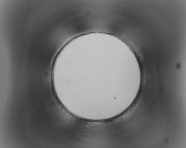 X0000102220836200807250744