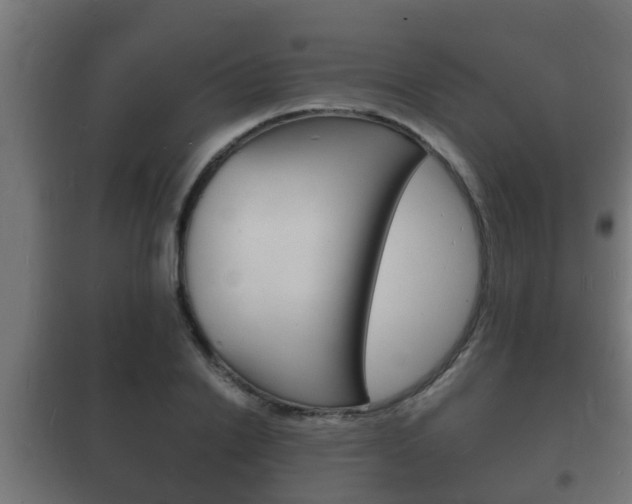 X0000102220838200807250744