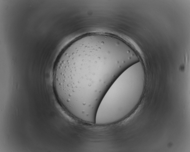 X0000102220839200807250744