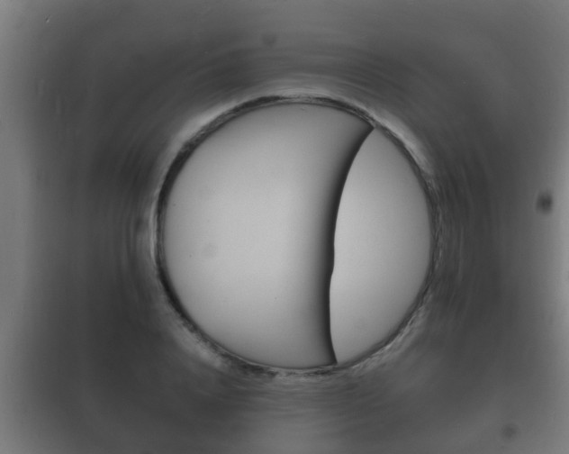 X0000102220840200807250744