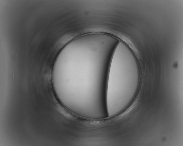 X0000102220841200807250744