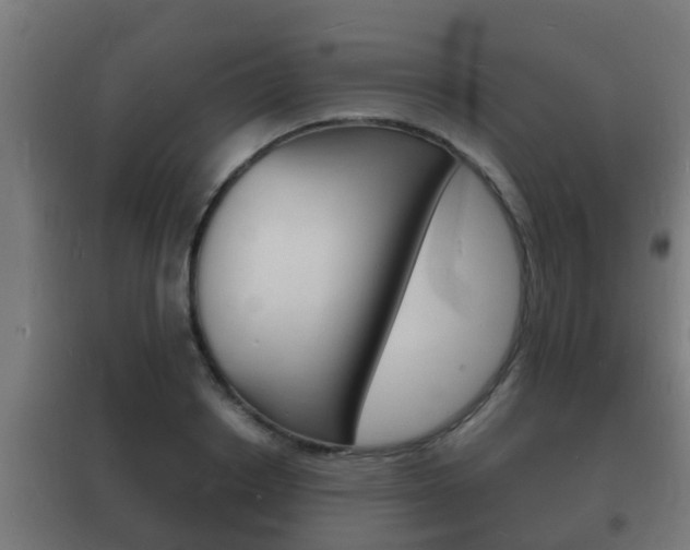 X0000102220842200807250744