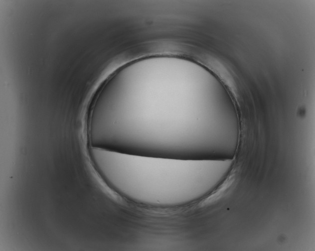 X0000102220843200807250744