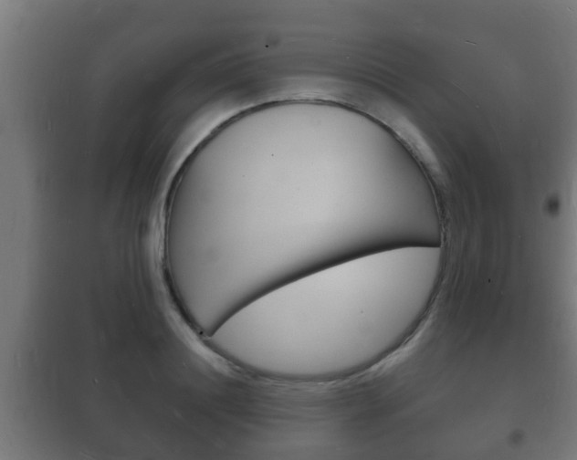 X0000102220844200807250744