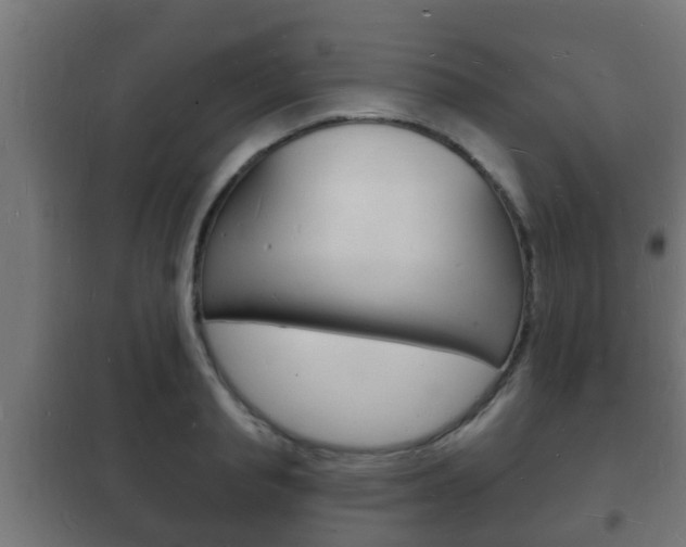 X0000102220845200807250744