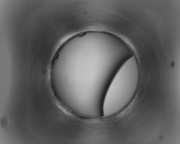 X0000102220846200807250744