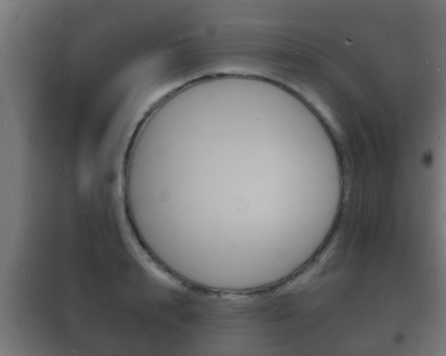 X0000102220848200807250744