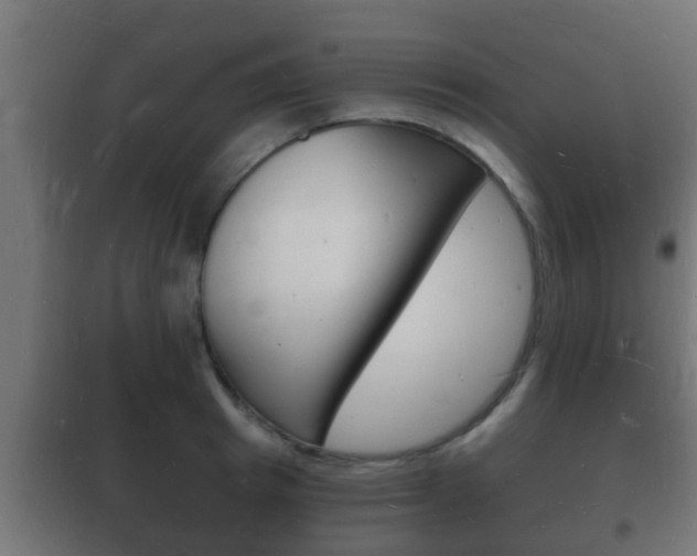 X0000102220849200807250744
