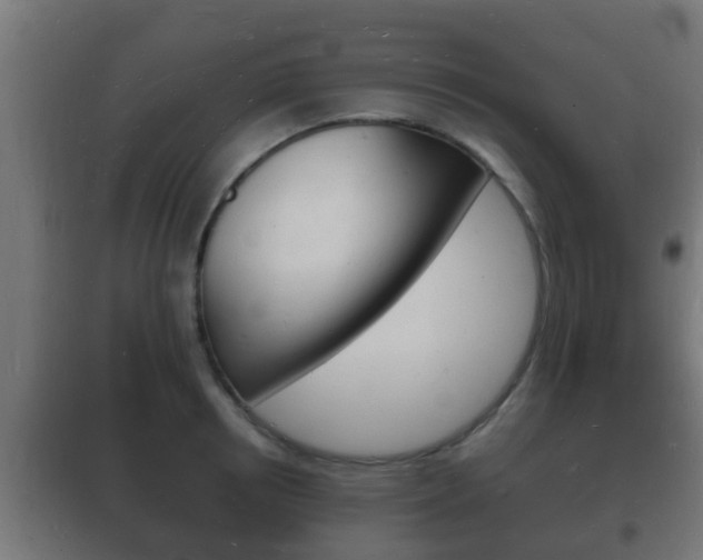 X0000102220850200807250744