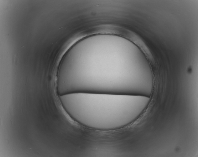 X0000102220852200807250744