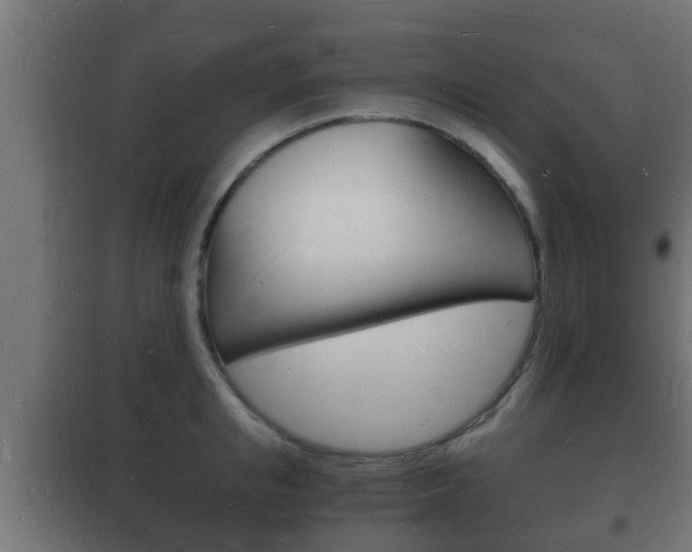 X0000102220853200807250744