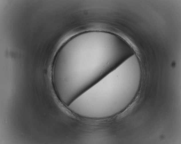 X0000102220854200807250744