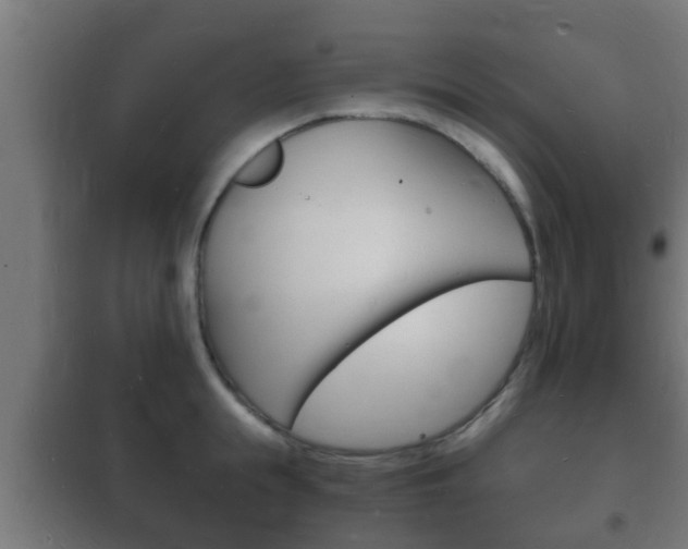 X0000102220855200807250744