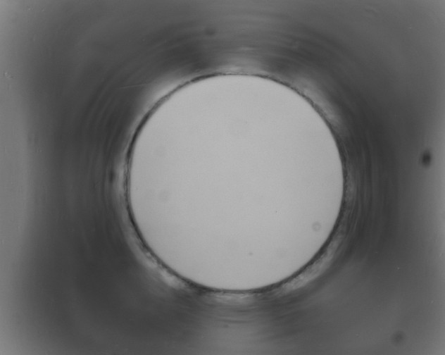 X0000102220856200807250744