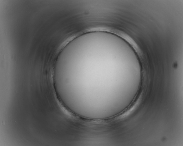 X0000102220857200807250744