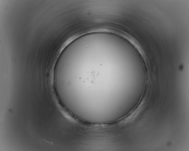 X0000102220858200807250744