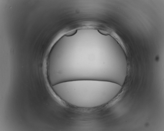 X0000102220859200807250744