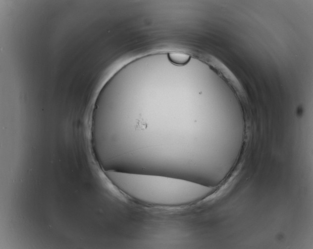 X0000102220860200807250744