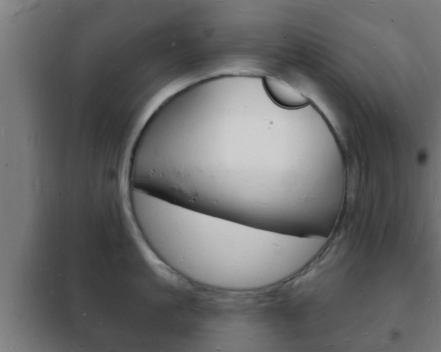 X0000102220861200807250744