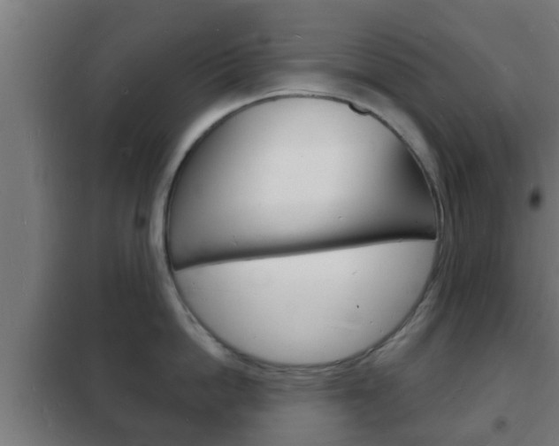 X0000102220862200807250745