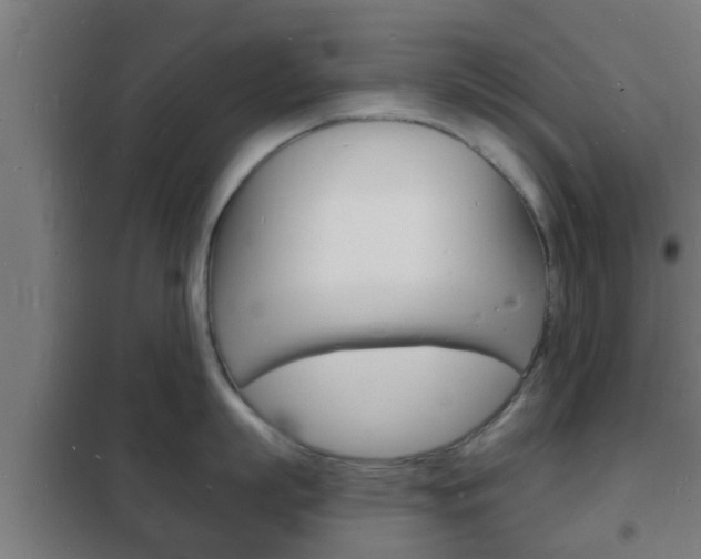 X0000102220863200807250745