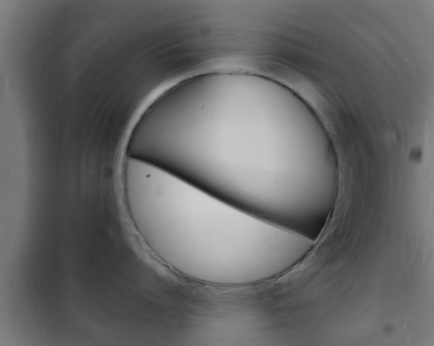 X0000102220864200807250745