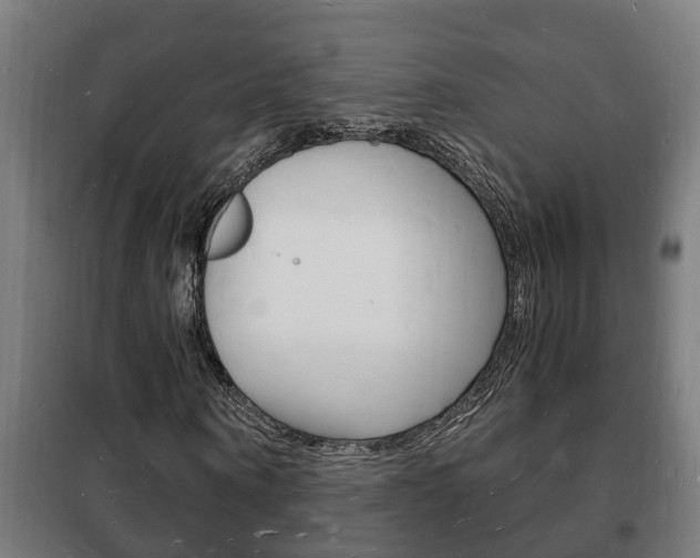 X0000102220866200807250744
