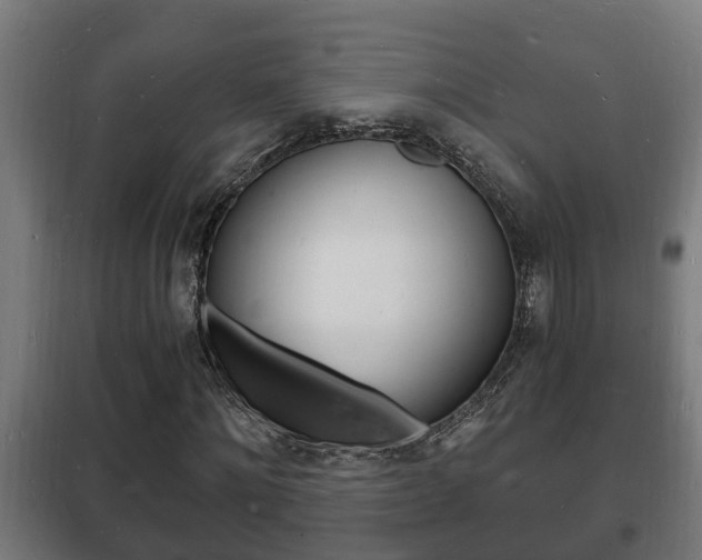 X0000102220868200807250744