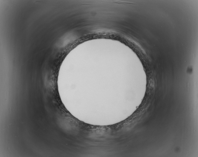 X0000102220869200807250744