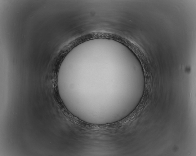 X0000102220870200807250744